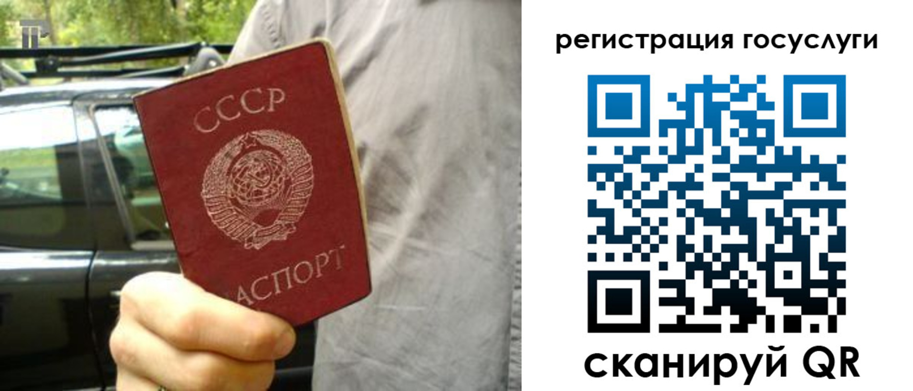 прописка законно в Называевске